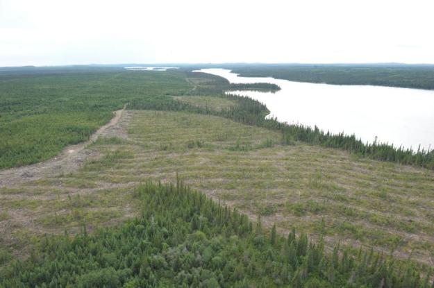 Clear-cut forest on the Broadback River pictured on August 18, 2015, in Waswanipi, Canada (AFP Photo/Clement Sabourin)